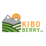 Kibo Berry Ltd 150x150 1