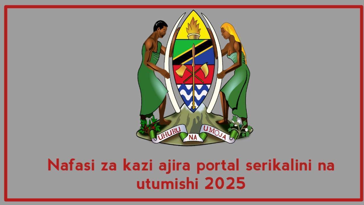 Nafasi za kazi ajira portal serikalini na utumishi 2025