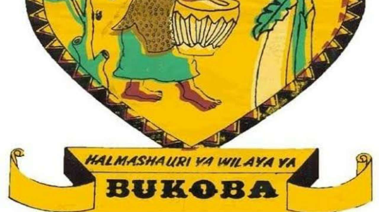 Msaidizi Maendeleo ya Jamii Daraja la II Job at Bukoba District council