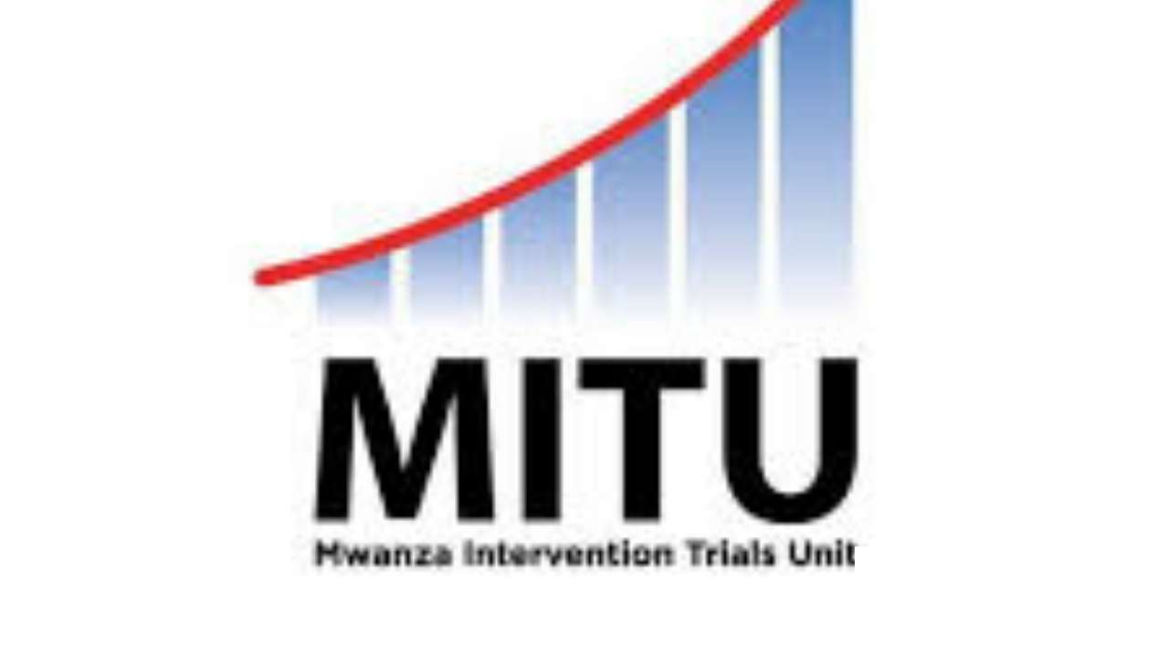 Job vacancies at MITU