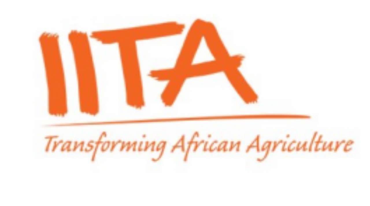 Job vacancies at IITA