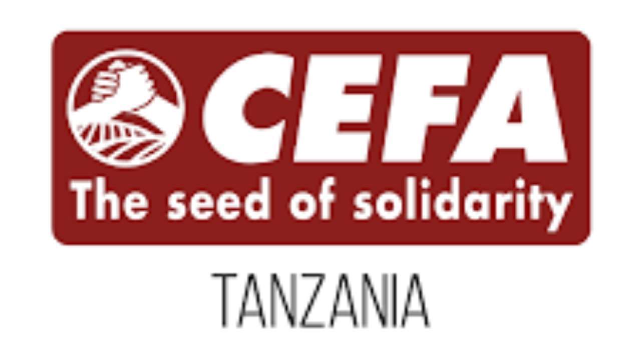 Job vacancies at CEFA