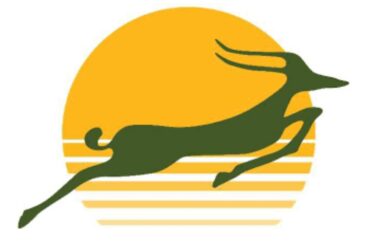 Job vacancies at Precision Air April 2025