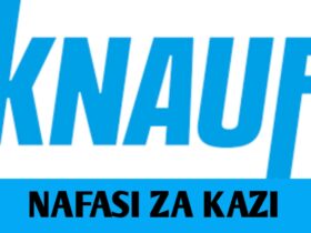 Job vacancies at Knauf