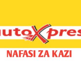 Job vacancies at AutoXpress