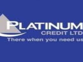 20 Job vacancies at Platinum Credit, April 2025
