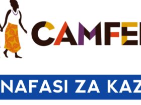 Job vacancies at CAMFED