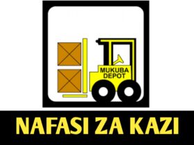 Job vacancies at Zambia Cargo and Logistics LTD