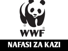Job vacancies at WWF