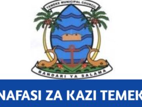 Job vacancies at Temeke District Council