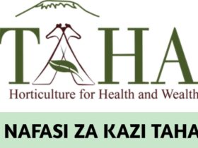 Job vacancies at TAHA