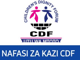 Job vacancies at Childrens Dignity Forum (CDF)