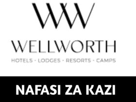Job vacancies at Wellworth Group