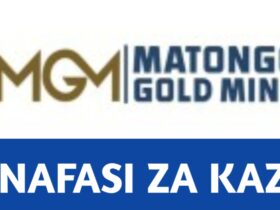 Senior Mine Geologist, Job vacancies at Matongo Mining Company Limited, 2025