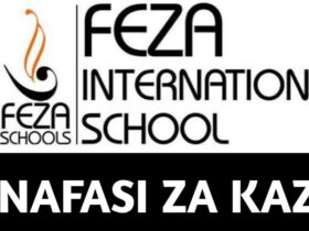 Job vacancies at Feza International School