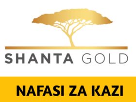 Job vacancies at Shanta Gold